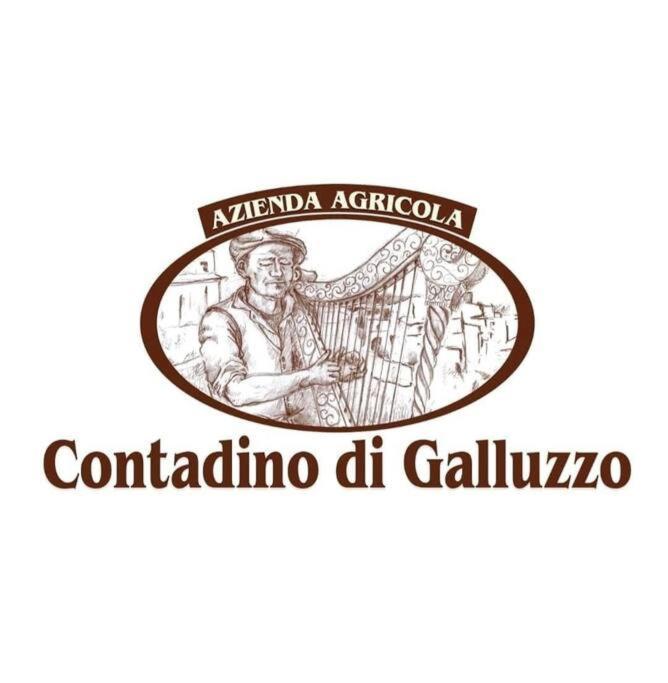 Holiday home Rinaldo Sambuca di Sicilia